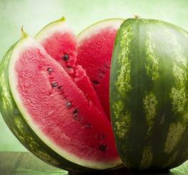 正能量 56吃瓜网,揭秘吃瓜界的清新力量