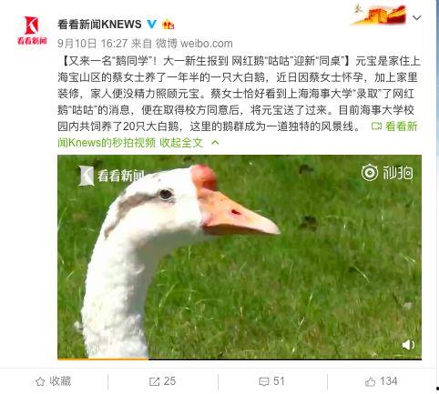 网红大鹅 校长的欲望,网红大鹅校长的人生逆袭之路